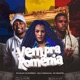 Vem pra Romênia Single