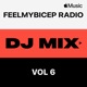 FeelMyBicep Radio Vol 6 DJ Mix