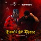 Don t Go There feat Slowdog Single