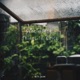 Sentimental Things in Noise 2