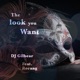 The Look You Want feat Rorang Single