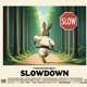 Slowdown Single