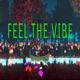 Feel the Vibe Single