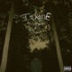 Insane feat ilyaugust Lil Uber Single