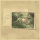 The Elixir Single