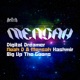 Digital Dreamer Kashmir Single