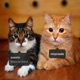 copycat feat neoprada Single