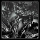 Graphite Single