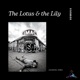 The Lotus the Lily