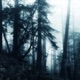 mystic codes Single