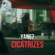 Cicatrizes Single