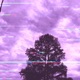 Remnants EP
