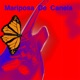 Mariposa de Canela feat Panacea Project Daniel Santacruz Single