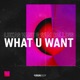 What U Want Single