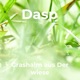 Grashalm Aus Der Wiese Single