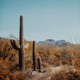 Santa Fe Single