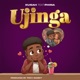 Ujinga feat Phina Single