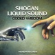 Coded Wisdom Single