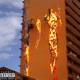 Juelz Wayne Single