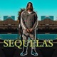 Sequelas Single