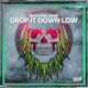 Drop It Down Low Single