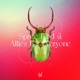 Vision Widened Single