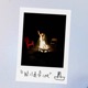 Wildfire Single