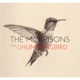 Ode to the Hummingbird Single