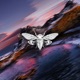 Digital Single