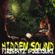 Hidden Sound Single