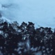 in the quiet of loss Single