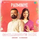 Padminiye Chillwave Mix Single