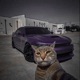 NIGHTRIDE Single