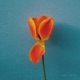 Exp EP