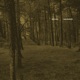 Salvador EP