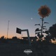 CANCIÓN AL TIEMPO Single