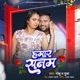Hamar Sanam Single