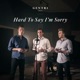 Hard to Say I m Sorry Single