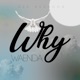 Why Waenda feat G Brendon Single