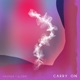 Carry On Single