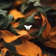 Betrayal The Remixes Single