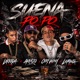 Suena Po Po Single