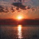 Light of Day