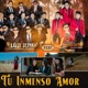 Tu Inmenso Amor feat LATIN BLESS Single