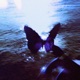 Love II Single