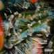 Coast To Coast Single