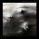 Compelling feat Wisdom EP