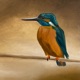 BLUBiRD Single