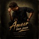 Ameer Ban Jaun Single