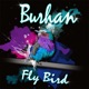 Fly Bird Single